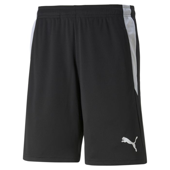 PUMA TEAMLIGA REFEREE SHORTS - Hommes main product photo